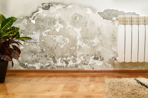 ChatGPT Image 23. Okt. 2025, 04_26_25